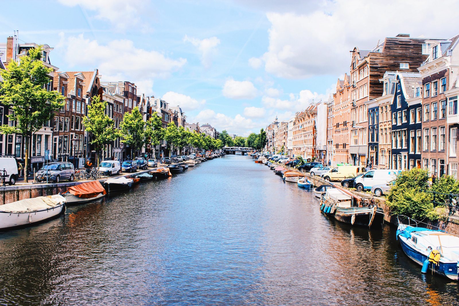The Hague
